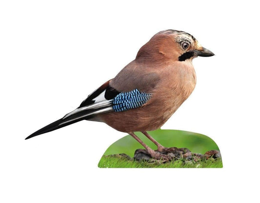 Animal standee jay