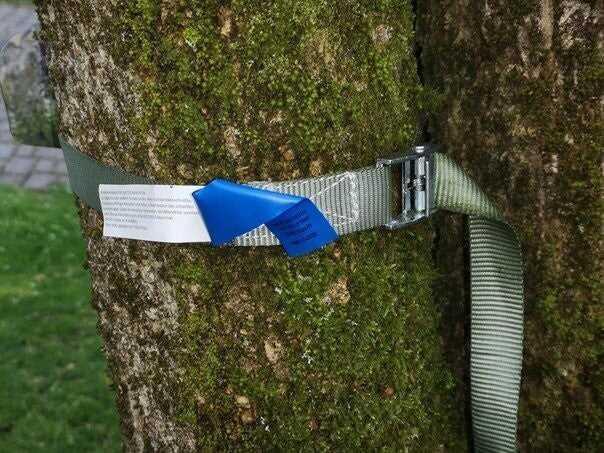 tree mount