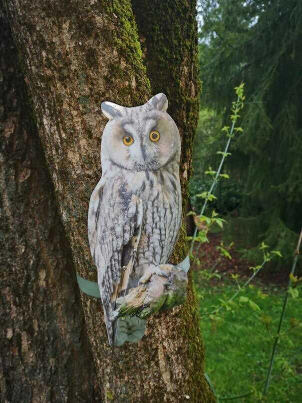 tree mount