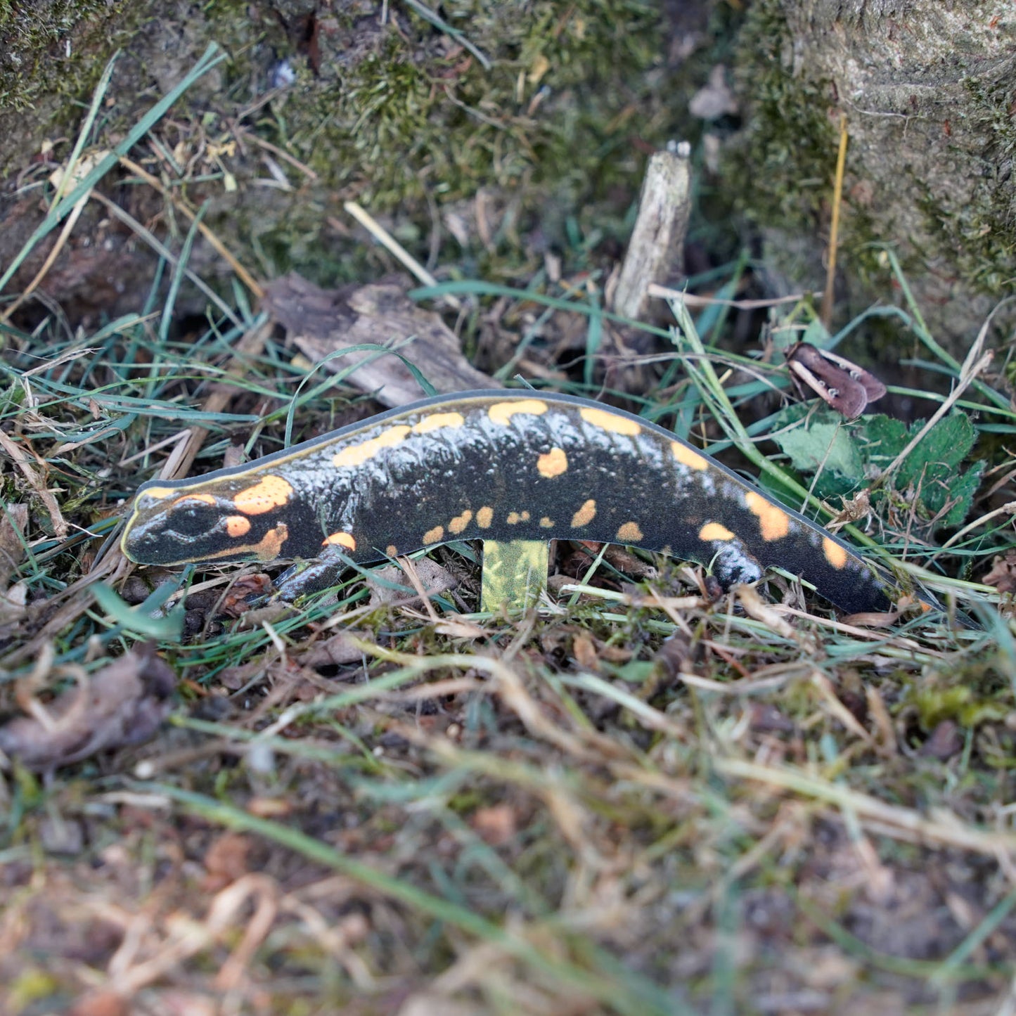 Tieraufsteller Feuersalamander - Outdoor Set