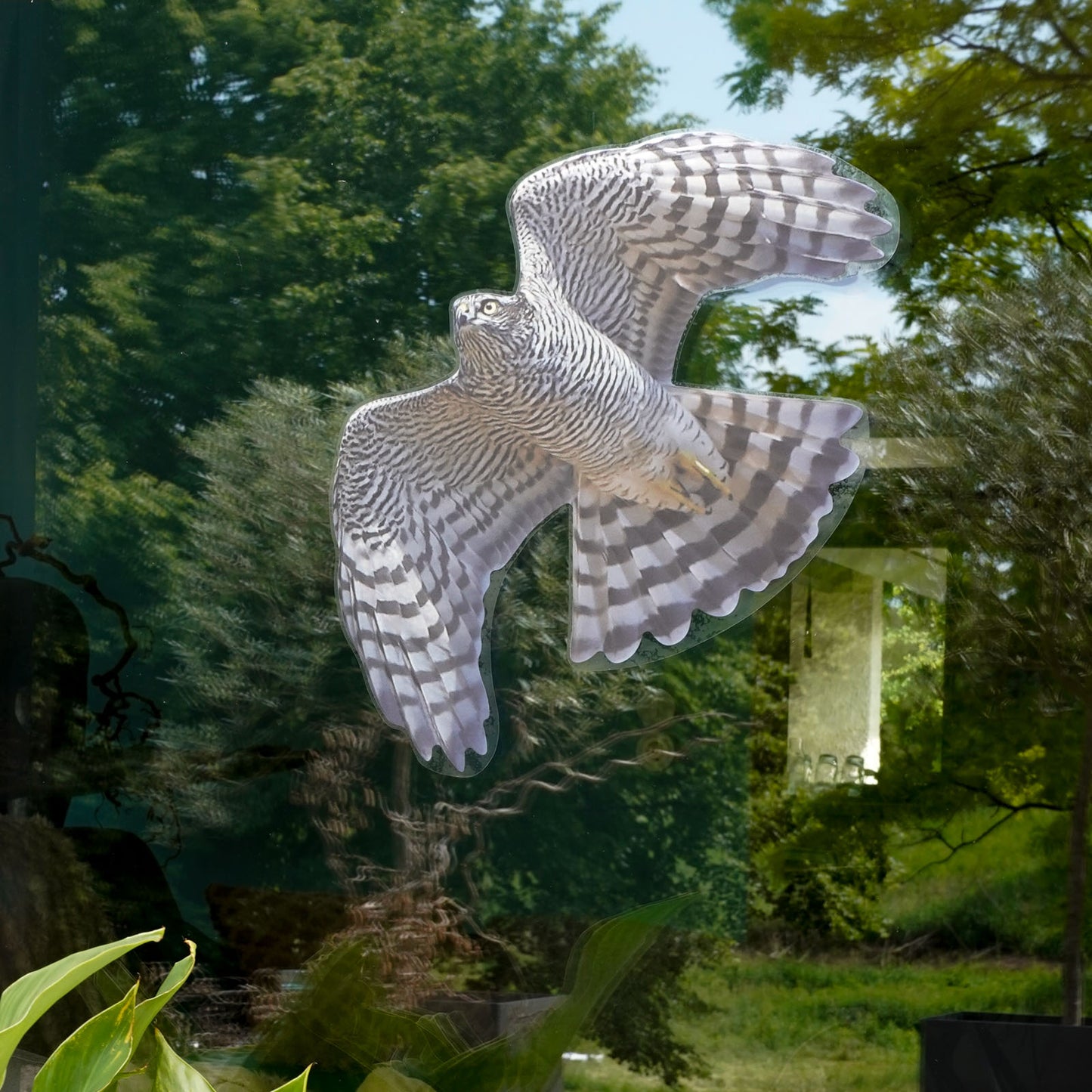Sperber - fliegend (Vogelschutz)