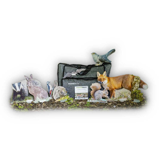 Life-size deer foot stamp