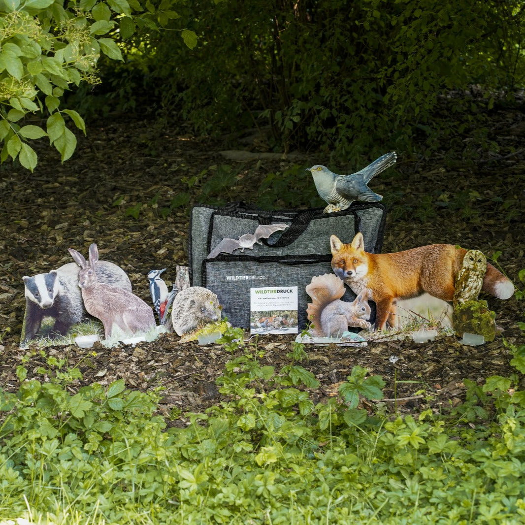 Mini-Tierset inkl. 8 Spiele