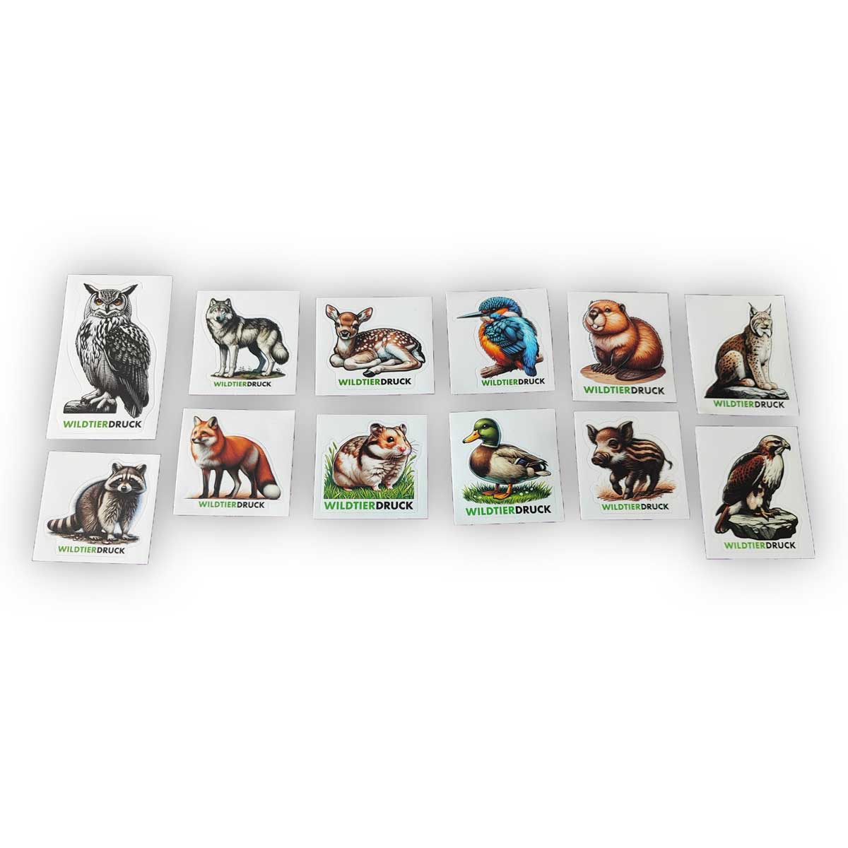 Set di adesivi per la fauna selvatica