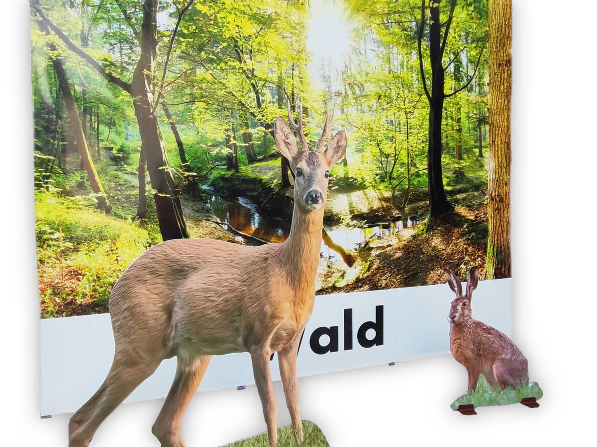 Parete pop-up “Habitat forestale”