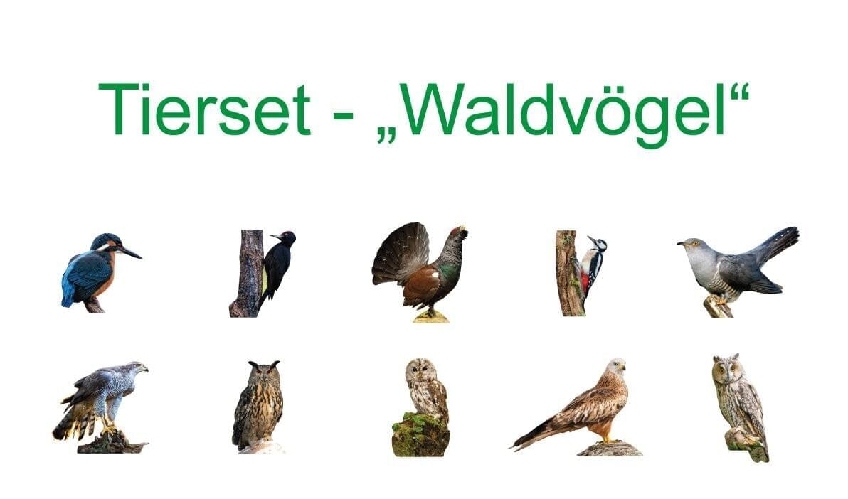 Set di animali - uccelli della foresta
