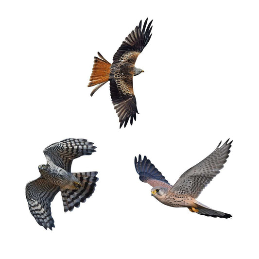 Vogelschutz 3er Set - klein