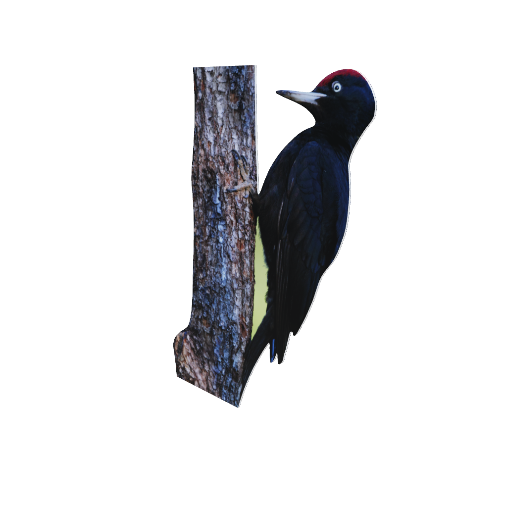 Animal Display Black Woodpecker Wildtierdruck GmbH animal-display-black-woodpecker-wildtierdruck-gmbh