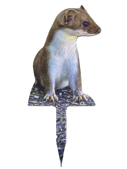 Tieraufsteller Wiesel - Outdoor Set