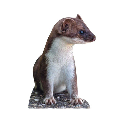 Wiesel