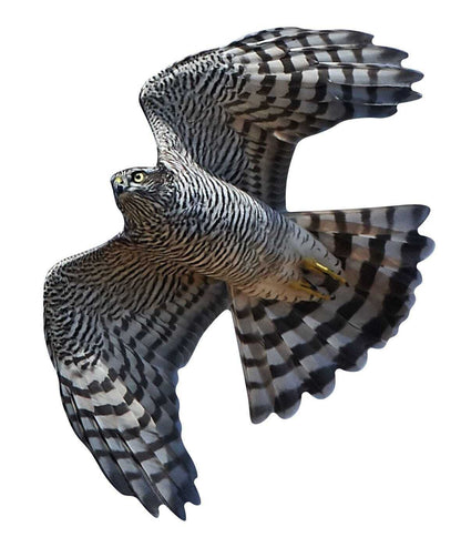 Vogelschutz 3er Set - groß
